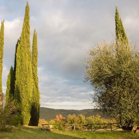 Villa Lavanda San Venanzo Exterior foto