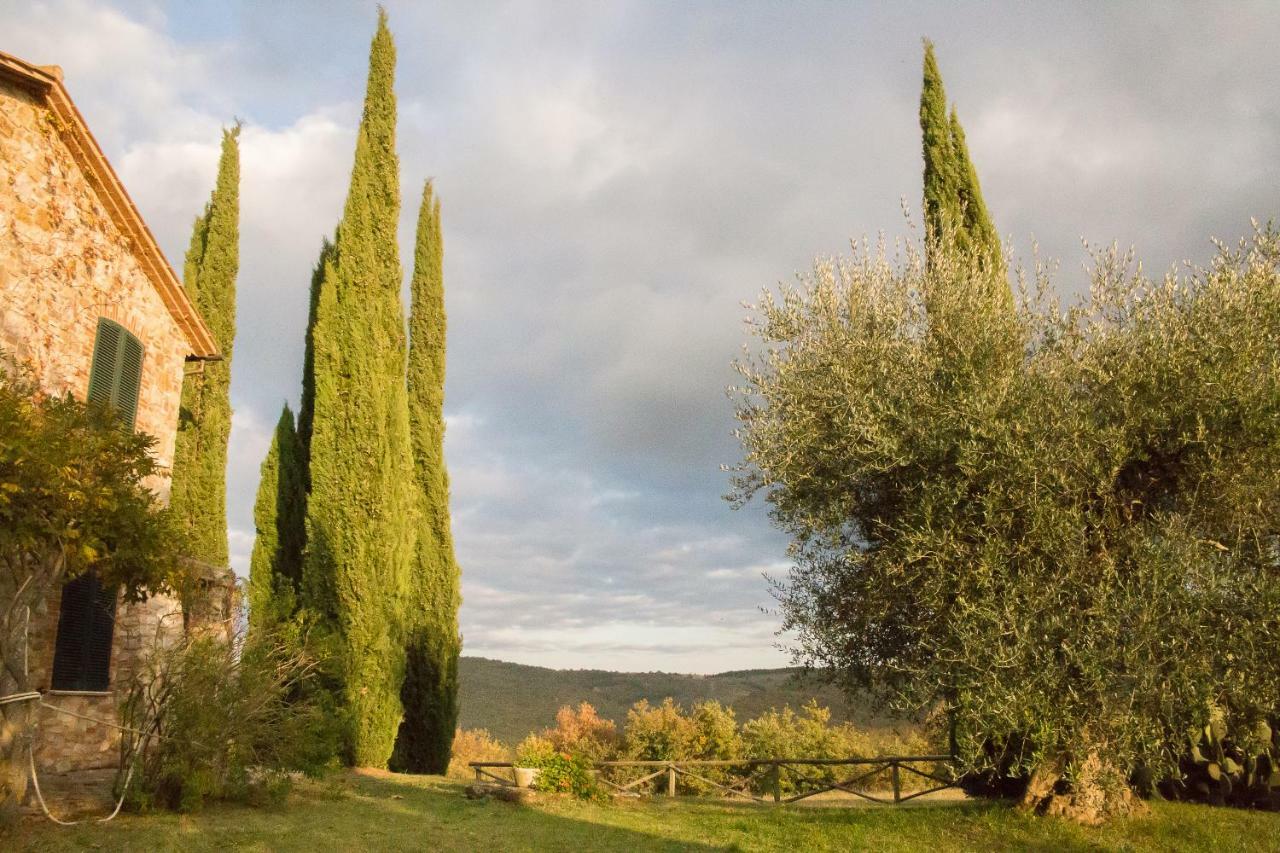 Villa Lavanda San Venanzo Exterior foto