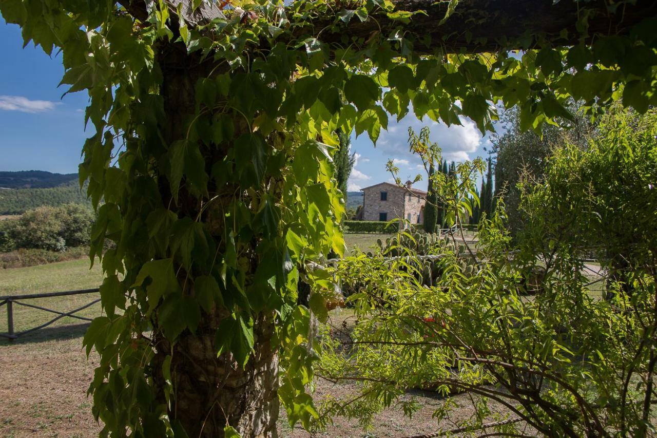 Villa Lavanda San Venanzo Exterior foto