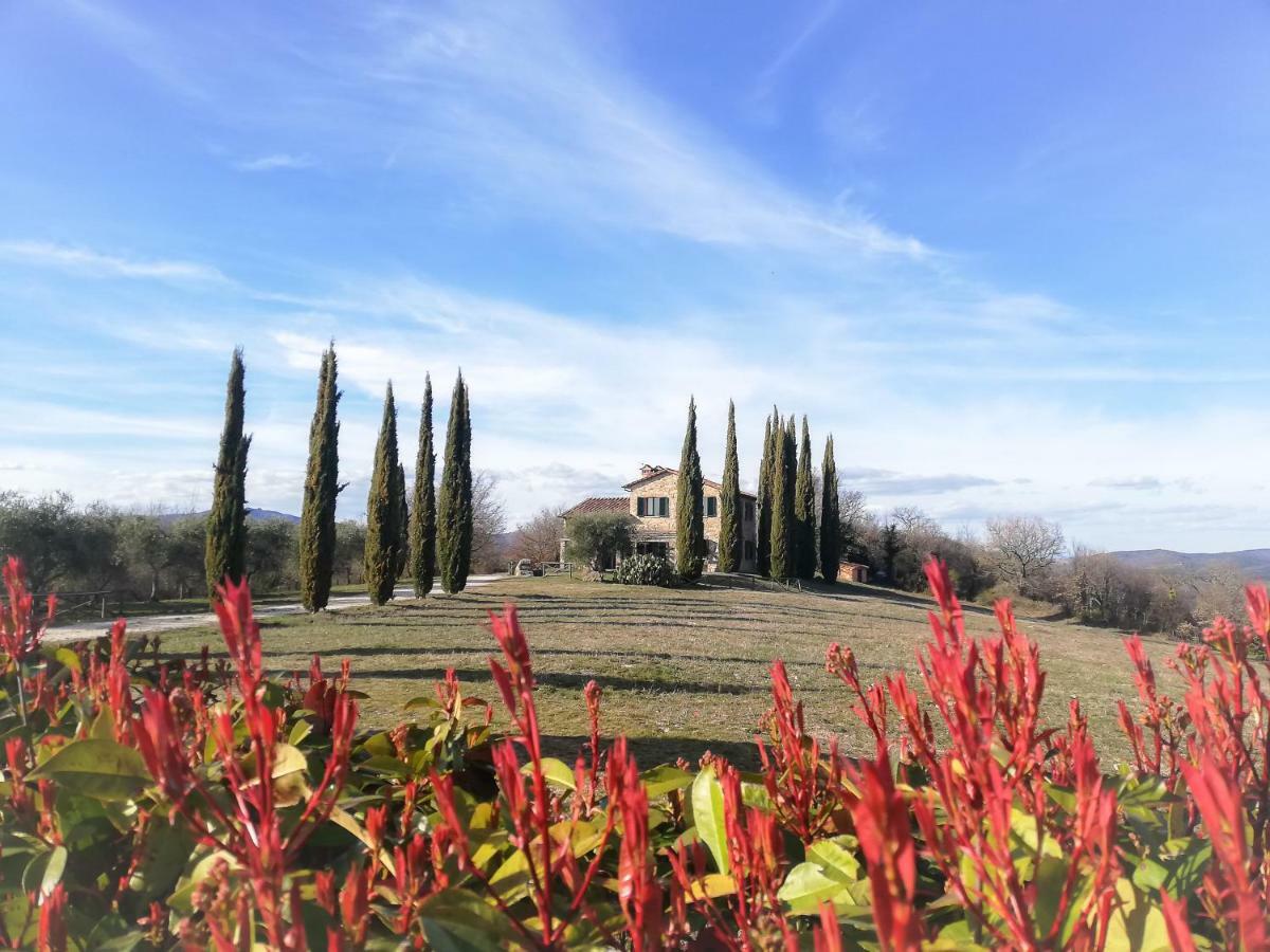 Villa Lavanda San Venanzo Exterior foto